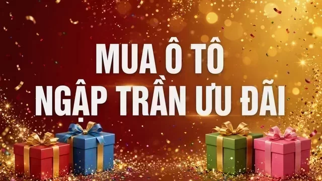 Địa điểm hỗ trợ xem xe tại Thái Bình